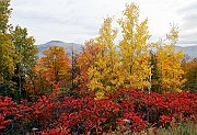 Autunno Canadese (5)